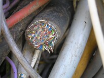 永康电缆回收市场价格图片2