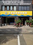 上海游泳馆加盟图片3