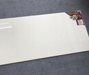 佛山紫爱家陶瓷工厂供应大规格工程砖600×1200抛光砖