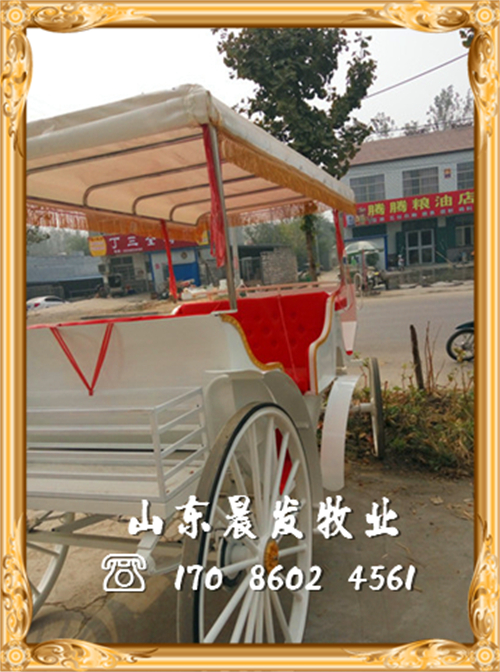 欧式皇家马车,婚庆婚礼马车