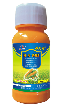 供應(yīng)山西晉中左權(quán)玉米苗后除草劑24%硝煙莠去津批發(fā)采購
