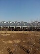 福泉太阳能发电板太阳能发电