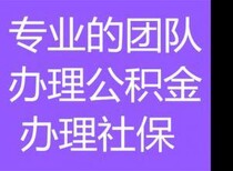 代办个人社保图片0