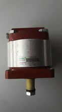 SALAMI再生泵2PE6.5D-G28P1-V-VS40-POMPA圖片