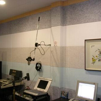 山东省胶南市装饰艺术吸音板录音棚减少回响改善音质