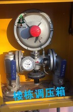 四川RX50/0.4A燃气调压箱润丰分析优势