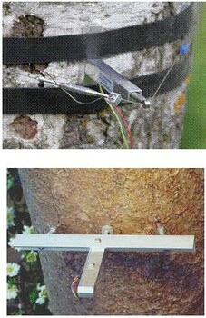 QT-2010植物生理生态系统