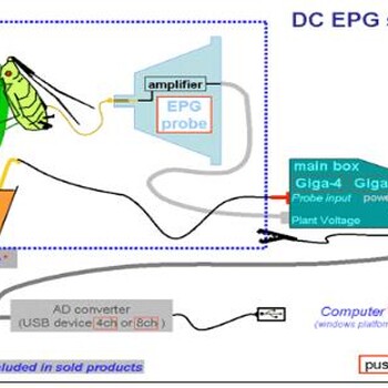 EPG八通道昆虫刺探电位测量系统