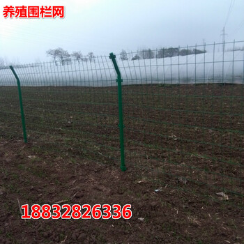 鐵路護欄高速公路隔離柵框架護欄網(wǎng)鐵線圍欄網(wǎng)
