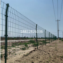 中久圈地河塘钢丝围栏网绿色框架护栏网绿色浸塑金属护栏网