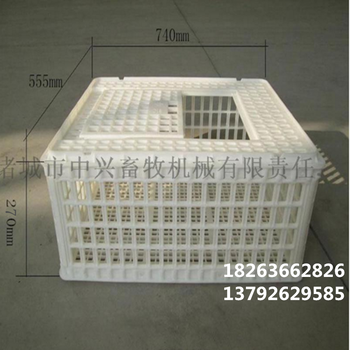 山东塑料鸡笼长途运输塑料成鸭笼子环保塑胶鸡笼