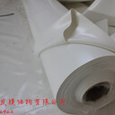 福建1100克膜布加工廈門誠發膜布加工廠誠發膜材批發質量保證