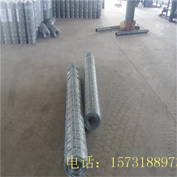 鍍鋅草原網(wǎng)鐵絲網(wǎng)牛欄網(wǎng)鹿網(wǎng)防護(hù)網(wǎng)鐵絲網(wǎng)現(xiàn)貨