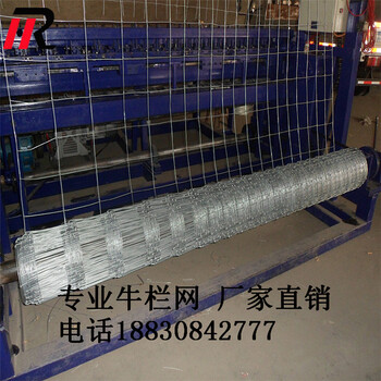 山東養(yǎng)牛網(wǎng)圍欄養(yǎng)殖網(wǎng)山林隔離網(wǎng)出口品質(zhì)