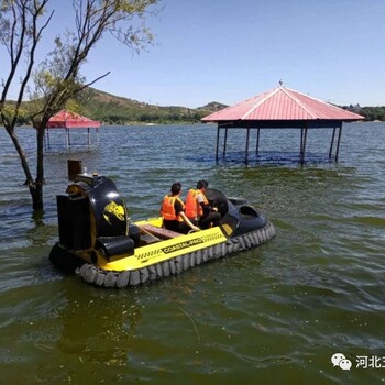 应急救援气垫船厂家，霸王龙WX-4水陆两栖气垫船