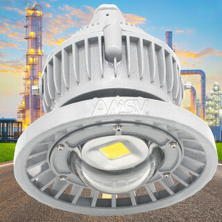 LED防爆灯节能免维护工业220w图片3