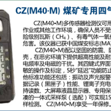 矿用四合一气体检测报警仪英思科CZM40