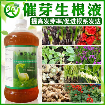 种植茶叶如何使用益富源催芽生根液提早发芽提高发芽率