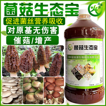 云南种植鸡枞菌用的菌菇生宝厂家怎么购买