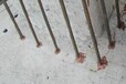 冀州市专业植筋专业柱子植筋楼板植筋钢结构植筋