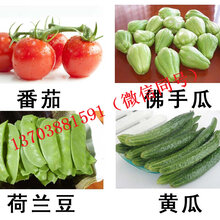 批发李楼乡无公害蔬菜集装箱干果礼盒企业员工春节福利预定图片