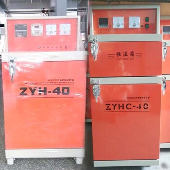 双门焊条保温储藏烤箱ZYHC-30焊条烘干箱30公斤焊条烘箱