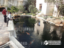 汉中解决水绿水混鱼池过滤器哪家强恒运园林鱼池水处理图片3