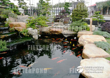 邯郸富邦寺院放生池水净化丰富的细菌群落图片3