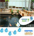 黄山富邦寺院放生池水净化免人工清理图片1