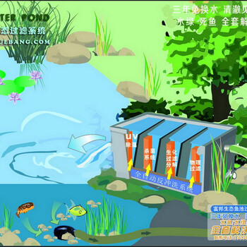 杭州富邦酒店鱼池净化免人工清理