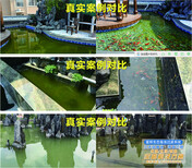 黄山富邦寺院放生池水净化免人工清理图片3