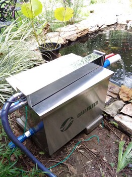 隨州錦鯉魚池改造哪家比較好卡利凈魚池過濾器