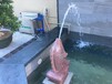 茂名私家庭院水处理哪家专业卡利净鱼池过滤器