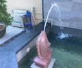 茂名私家庭院水處理哪家專業卡利凈魚池過濾器