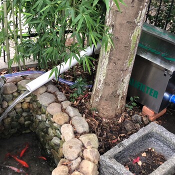 宿州锦鲤鱼池改造卡利净鱼池过滤器