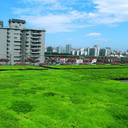江門(mén)開(kāi)平市全排板廠(chǎng)價(jià),恩平市雙層排水板品種