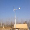 延安晟成品牌养殖用风力发电机3千瓦纯铜线风力发电机