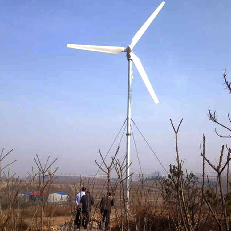 拉萨市10千瓦 水平轴风力发电机运行平稳风力发电机优惠