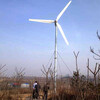 柳州市运行稳定风力发电机10kw景观使用风力发电机定制产品