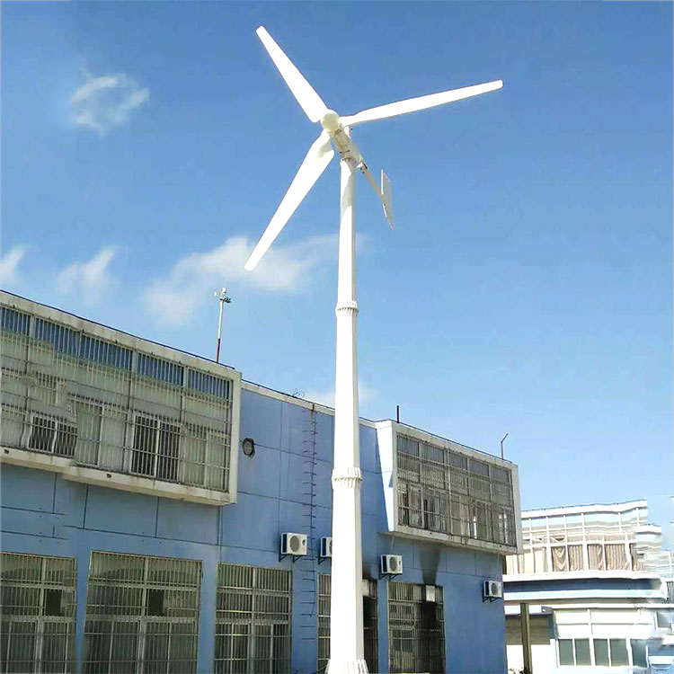 黎川晟成厂家草原安装风力发电机30kw220v风力发电机