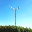 齊河晟成定做草原安裝風力發電機30kw380v風力發電機圖片