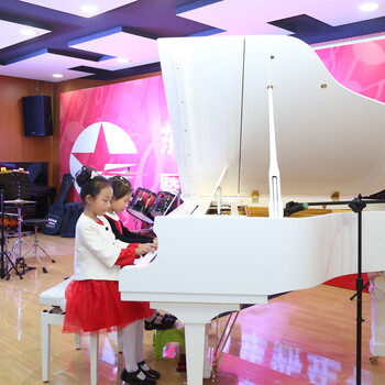 深圳龙岗学钢琴龙城广场学钢琴时需要注意的几个基本功