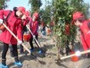 2020上海绿色植树活动户外团建7大植树场地就近选择