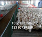 养鸡网垫漏粪地板厂家安装鸡鸭漏粪板图片掉粪板
