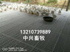 生产鸡鸭用漏粪板塑料漏地板育雏用网床配支架