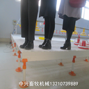 育雛專(zhuān)用網(wǎng)床圈養(yǎng)環(huán)保加固漏糞板高架網(wǎng)養(yǎng)殖漏糞板廠家