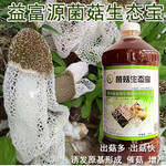 竹荪培养料发酵剂