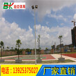 专业厂家篮球场灯杆规格定制揭阳市校园8米篮球场灯杆专业设计效果图图片