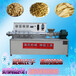 全自动豆皮机图片自动控温豆皮机价格小型豆皮机