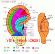 荆州做个韩国耳穴管理多少钱图片